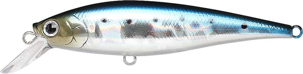 ビーフリーズ