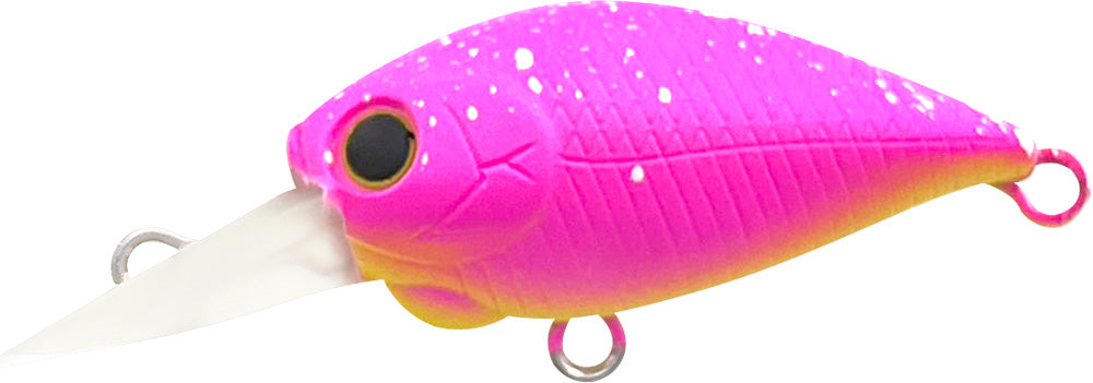 ハゼ