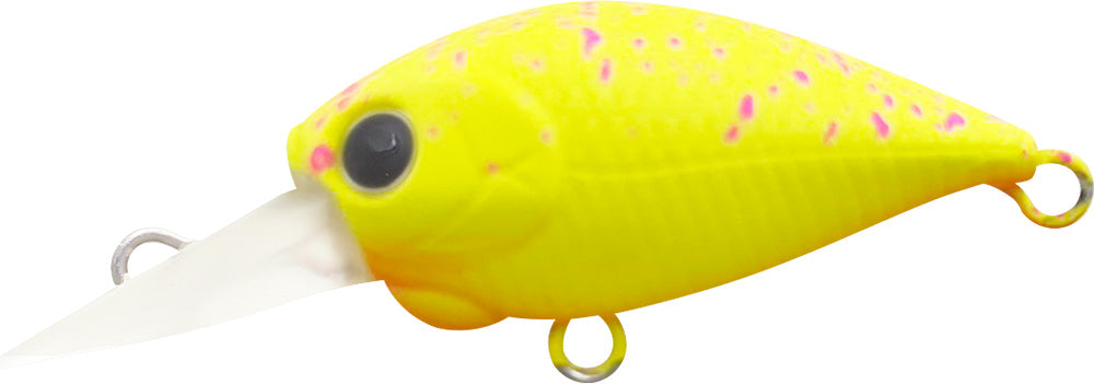 ハゼ
