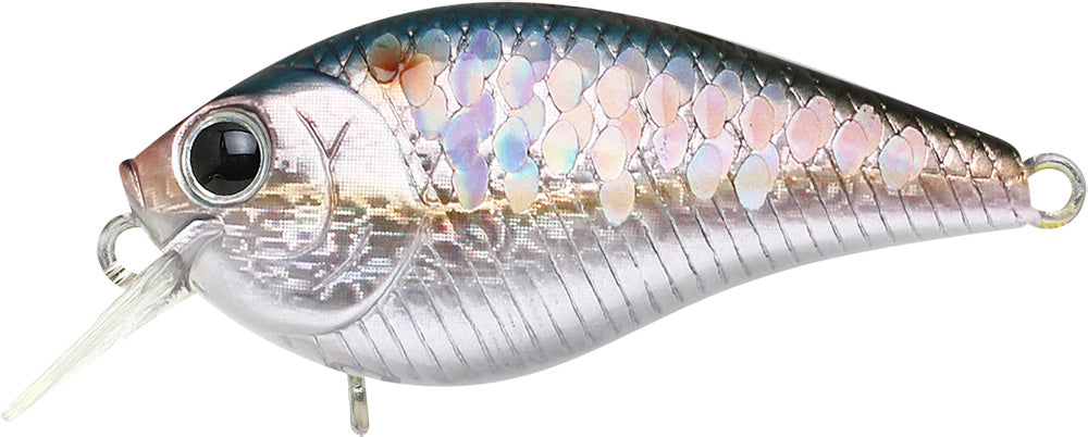 LC クランク
