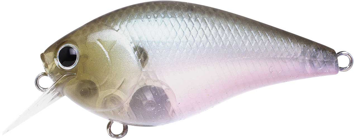 LC 1.5