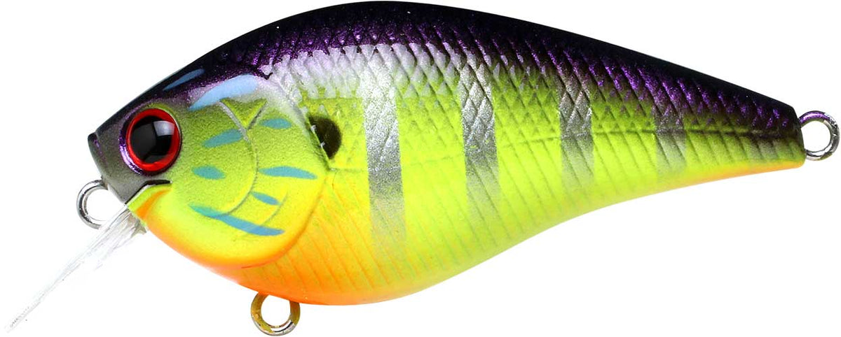 LC 1.5