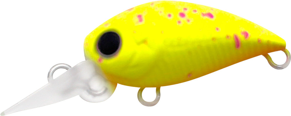 ハゼ