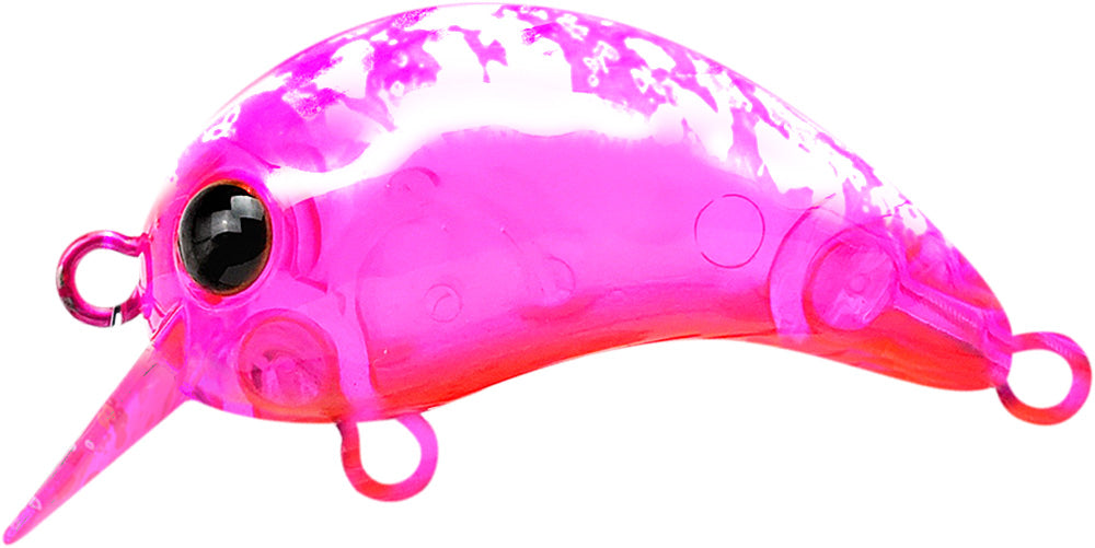 ワウ