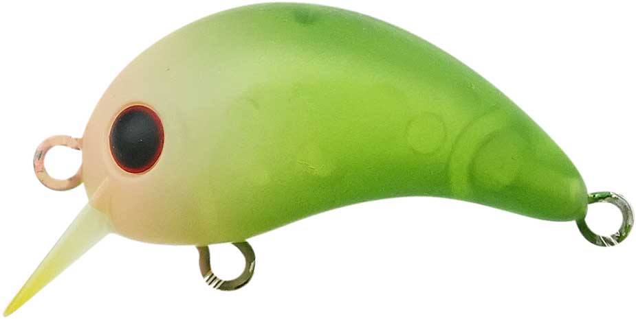 ワウ