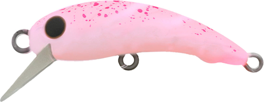 ワウ