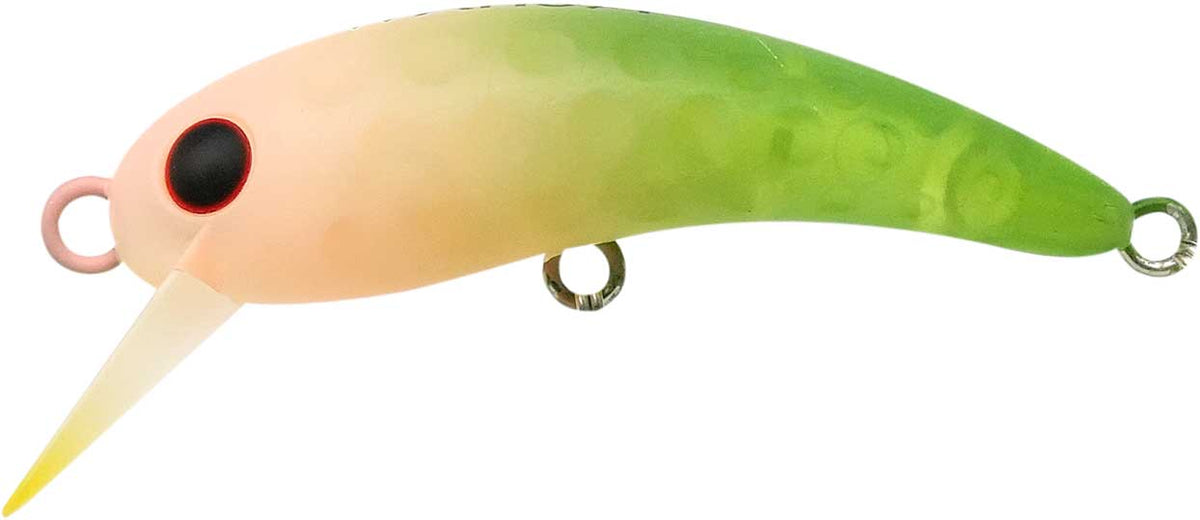 ワウ