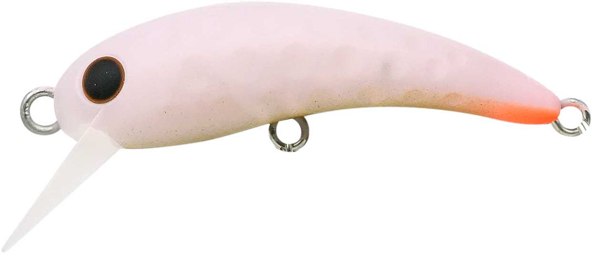 ワウ